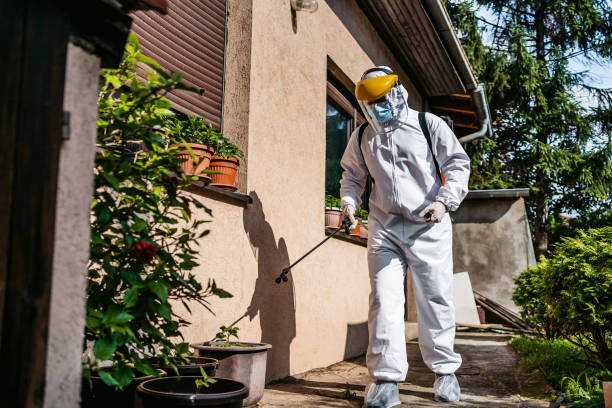 Best Termite Control Services  in Lake Hamilton, FL