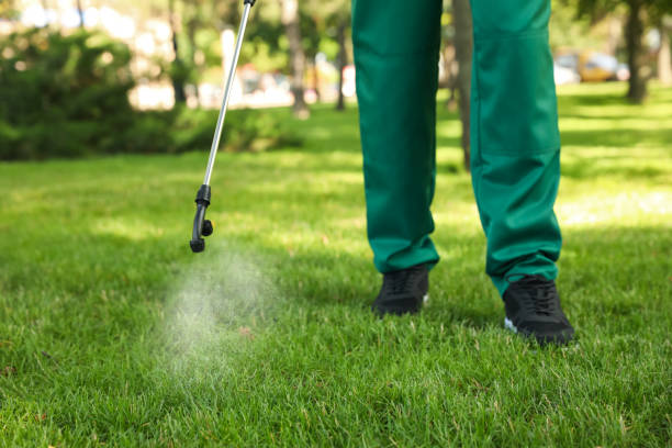 Wildlife Control Services in Lake Hamilton, FL