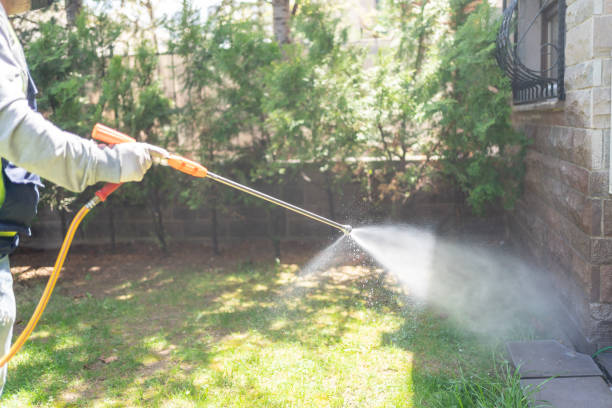 Best Pest Removal Services  in Lake Hamilton, FL