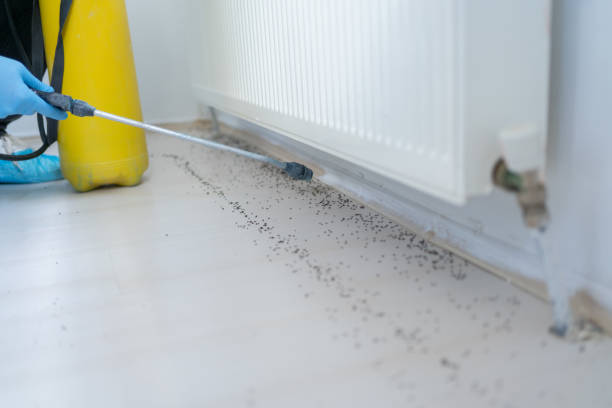 Best Best Pest Control Companies  in Lake Hamilton, FL