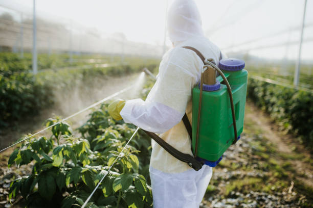 Best Local Pest Control Services  in Lake Hamilton, FL